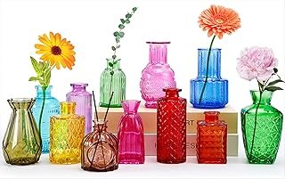 12 Pcs Glass Bud Vases, Colorful Bud Vase Set, Small Decor Vintage Vase,...