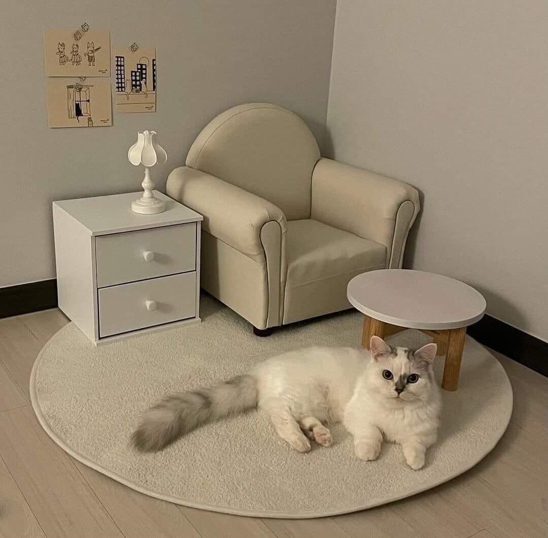 25 Beige Couch with Ottoman Ideas for a Cozy Living Room - 18. Cozy Pet Corner 1