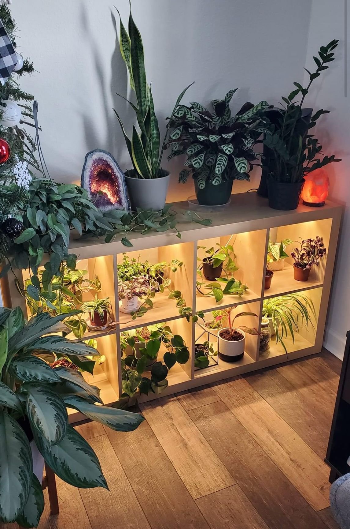 25 IKEA Living Room Bookshelf Ideas That Look Expensive - 11. Plant Lover's Paradise 1