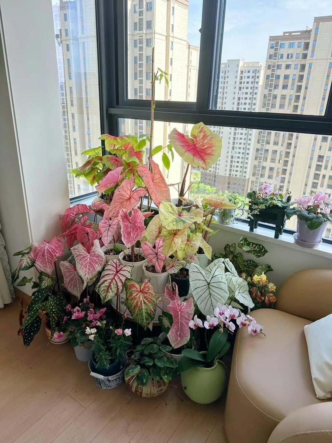 27 Comfort Furniture Picks for a Cozy Living Room - 22. Indoor Plant Displays 1