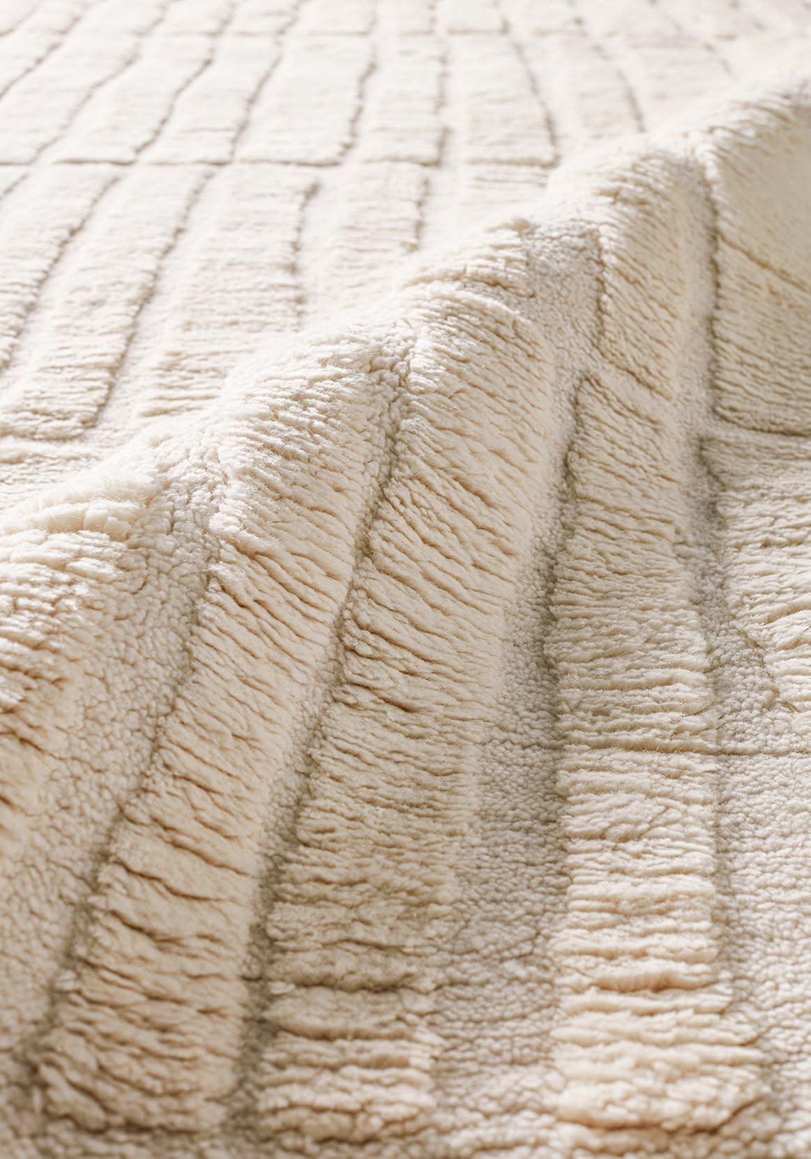 27 Plush Area Rugs That Make Your Living Room Feel Like a Cloud - 10. Textured Elegance 1