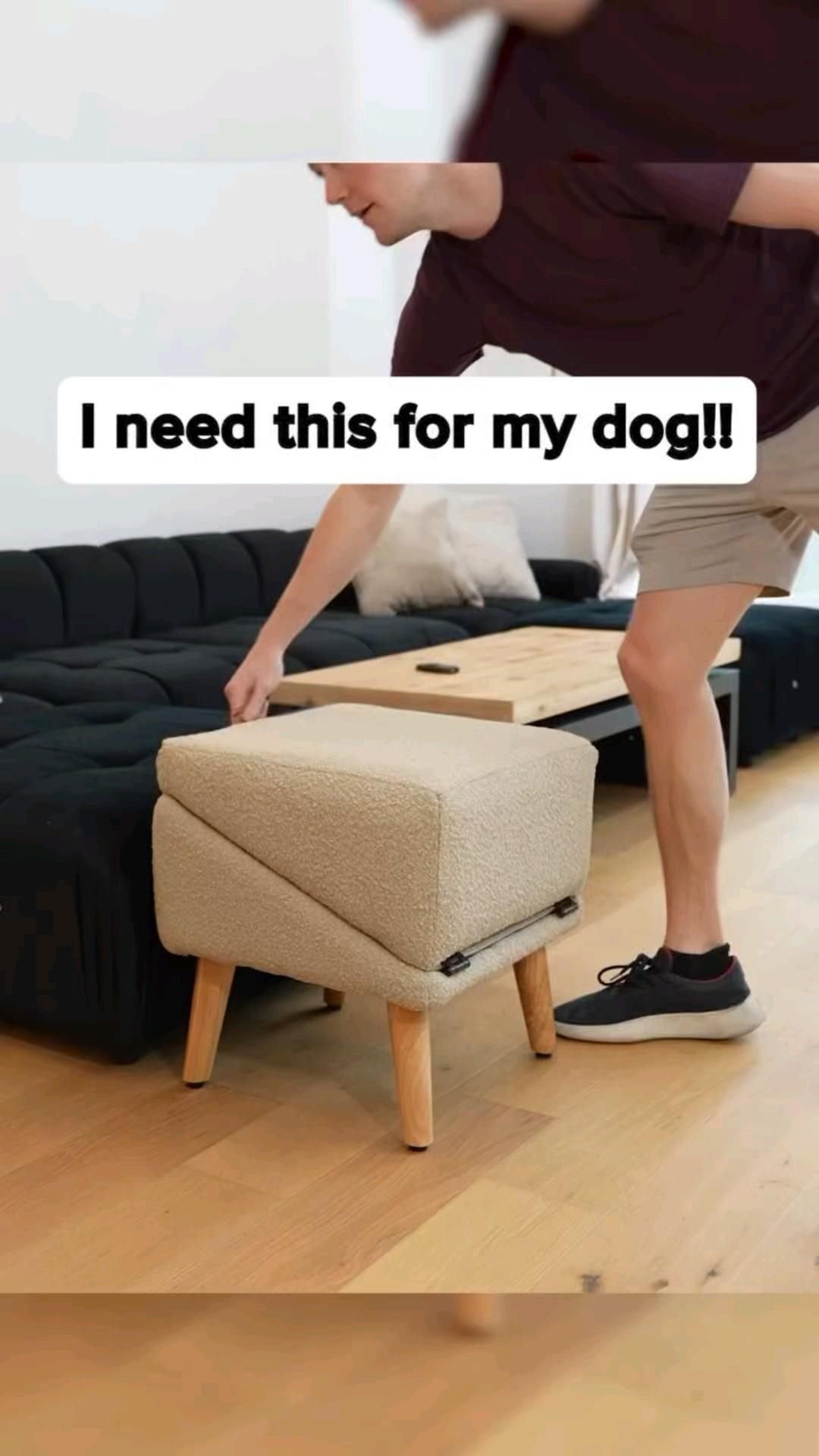 28 Best Comfy Sofas That Are Stylish Too - 25. The Pet-Friendly Sofa 1