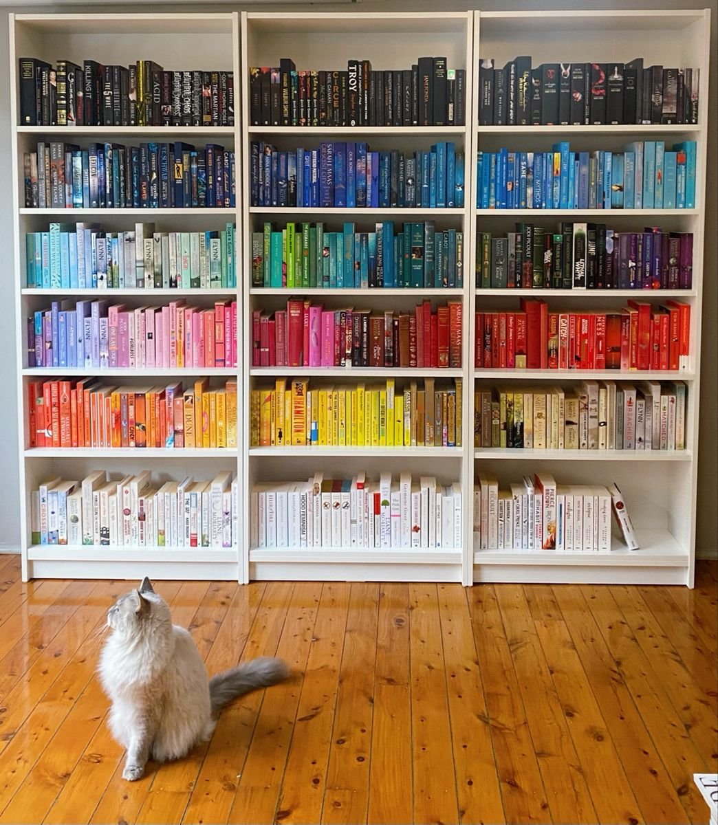 28 Living Room Shelf Ideas That Are Equal Parts Stylish and Functional - 12. Color-Coded Shelves 1
