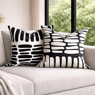 AYAY Decorative Modern Throw Pillow Covers 18x18 Set of 2 – Black and Wh...