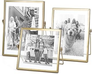 AceList Set of 3 Glass Photo Frame Collection Simple Metal Geometric Pic...