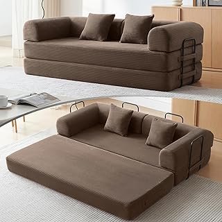 Convertible Modular Sleeper Sofa Bed, Mid Century Modern Decor Love Seat...