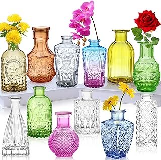 Glass Bud Vases Set of 12,Small Vases for Flowers,Colored Bud Vases Bulk...