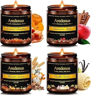 Holiday Candles Set – 4 Pack Cozy Winter Christmas Seasonal Candles Gift...