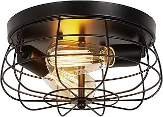 Industrial Black Flush Mount Ceiling Light 2-Light Farmhouse Fixtures Me...