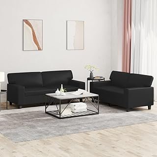 Modern 2-Seater Sofa Set in Black Faux Leather with Metal Frame and Plyw...